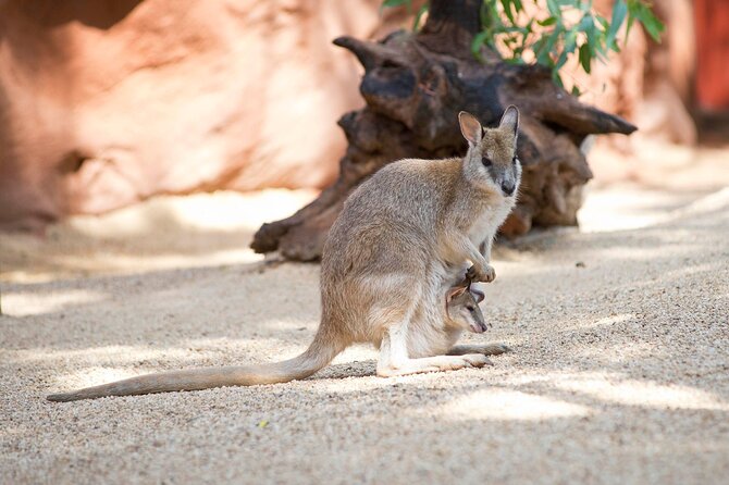 WILD LIFE Sydney Entrance Ticket - What WILD LIFE Sydney is really like