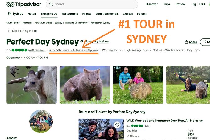 WILD Wombat and Kangaroo Day Tour, All Inclusive - Sublime Point starts the day with a coastal view