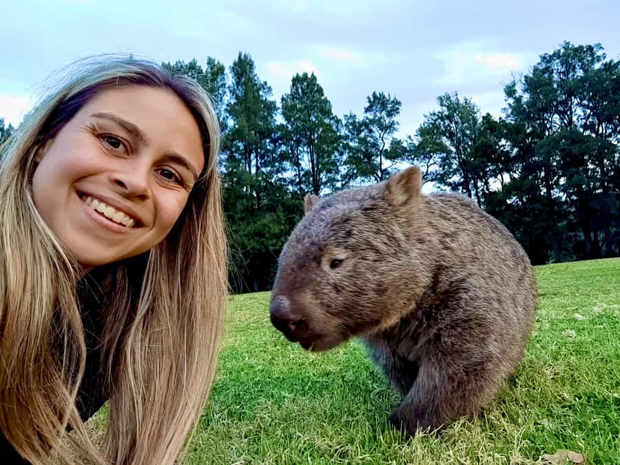 WILD Wombats and Kangaroo Experience, All Inclusive, Sydney - Stargazing before returning to Sydney