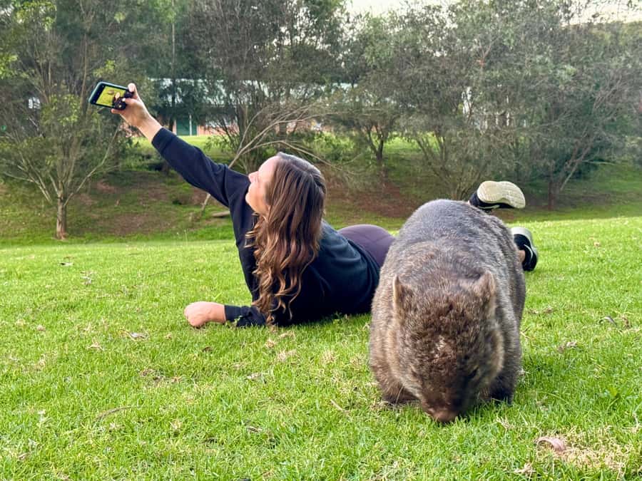 WILD Wombats and Kangaroo Experience, All Inclusive, Sydney - Why the wombats are worth the long day