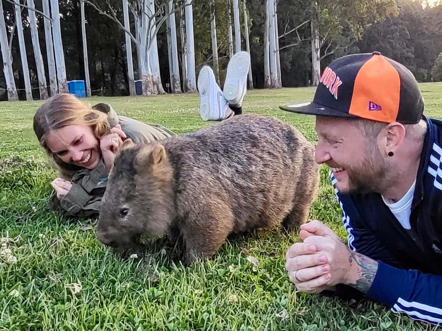 WILD Wombats and Kangaroo Experience, All Inclusive, Sydney - Macquarie Pass National Park and the changing scenery