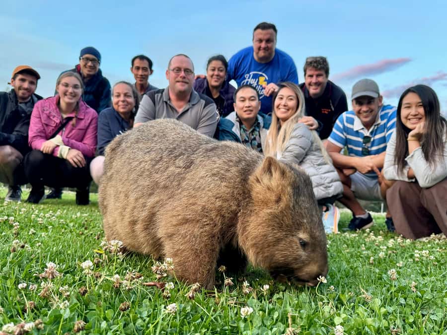 WILD Wombats and Kangaroo Experience, All Inclusive, Sydney - Morton National Park adds more walking and wildlife