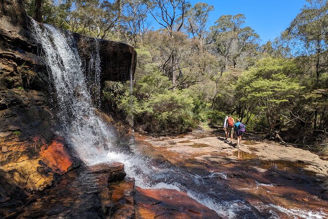Wilderness, Waterfalls, Three Sisters BLUE MOUNTAINS PRIVATE TOUR - Wentworth Falls, the day’s strongest walking stop