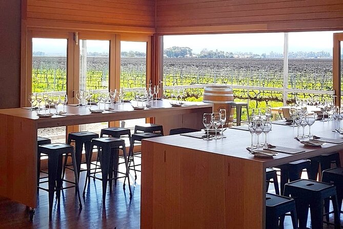 Wine Tasting Experience - What happens during the 45-minute tasting