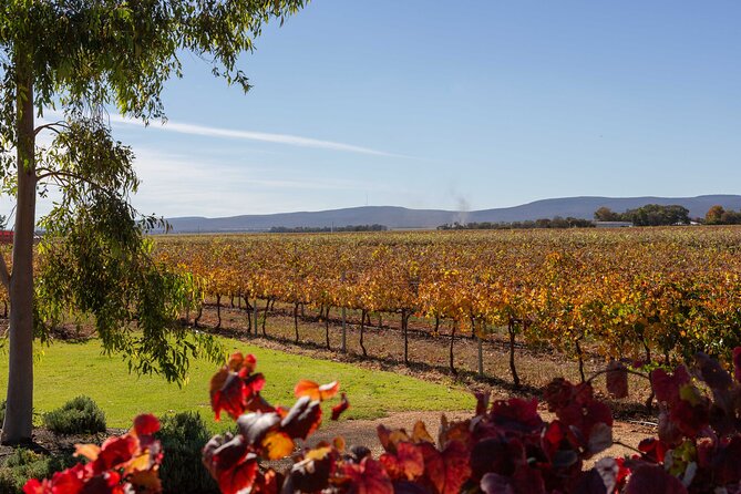 Wine Tasting Experience - Why the verandah and cheese platter matter