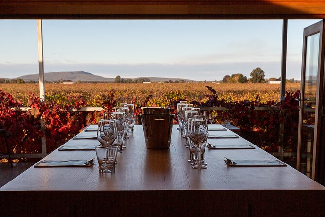Wine Tasting Experience - The wines and what you may learn