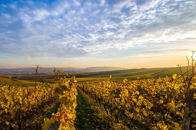 Wine Tours Sydney - Southern Highlands Day Escape, Full Day Wine Tasting Tour - Key points to know before you book