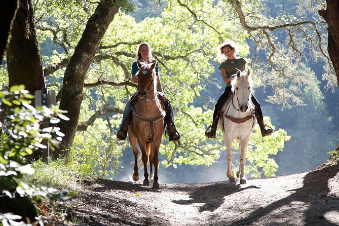Wine Tours Sydney - Southern Highlands Day Escape, Full Day Wine Tasting Tour - Why the driver can make or break the day